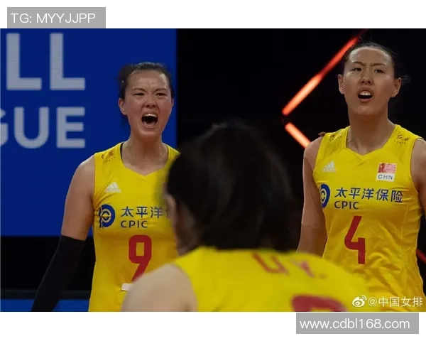 南京排球队的战术控制与团队协作分析探讨