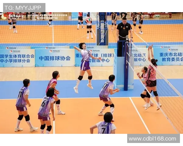 深圳排球队在排球意识排行榜中荣登第六位展现出强大团队实力与战术智慧